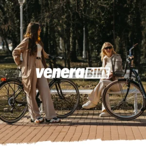 PUNJAČ ZA LITIJUMSKE BATERIJE 48V 13AH