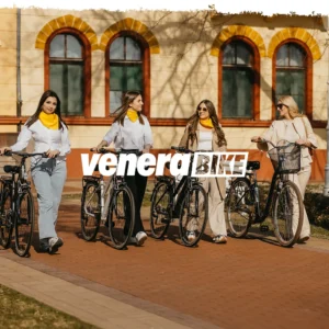 PUNJAČ ZA LITIJUMSKE BATERIJE 36V 10AH MAXI